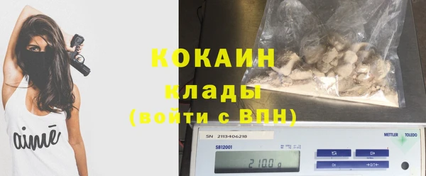 МДПВ Алзамай