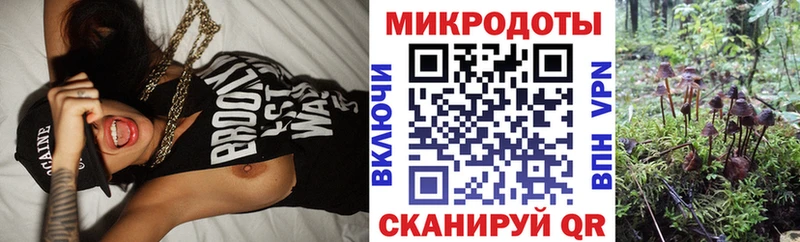 где продают   omg зеркало  Галлюциногенные грибы Psilocybe  Дудинка 